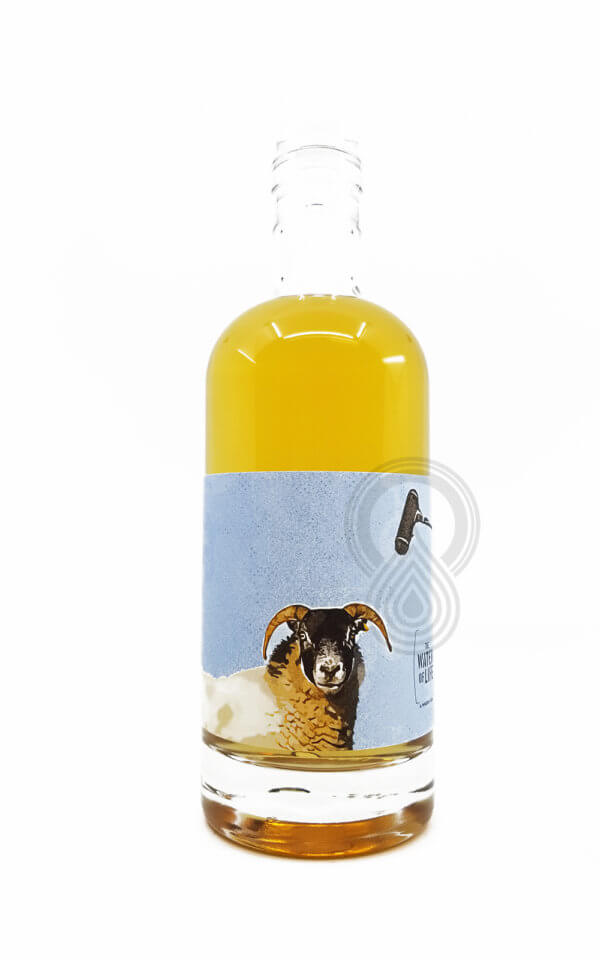 Single Cask Nation Undisclosed 'The Water of Life' Single Malt Scotch Whisky